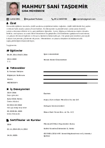 Gıda Mühendisi CV Örnekleri cv indir